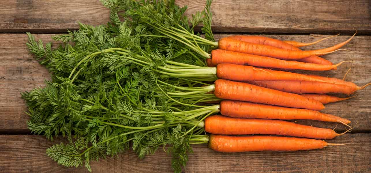 Comment faire pousser des graines de carottes ?