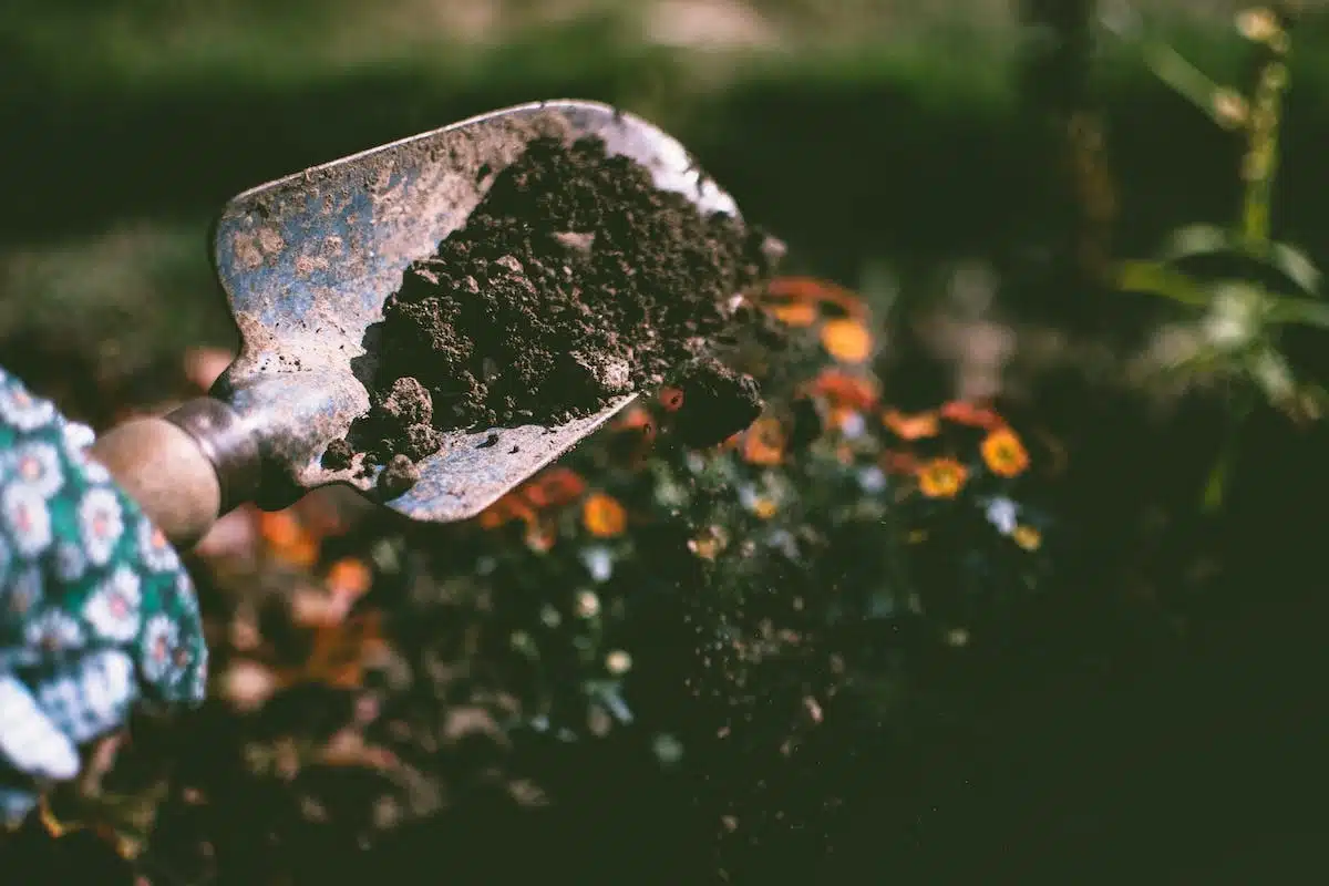 potager écologique