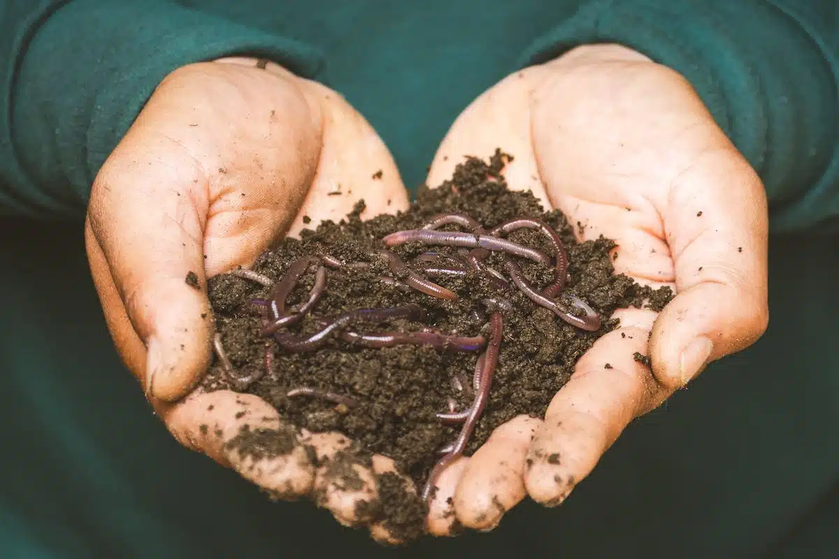 compostage  jardin