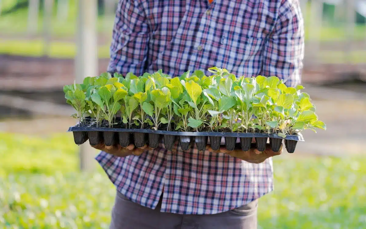 jardinage écologique
