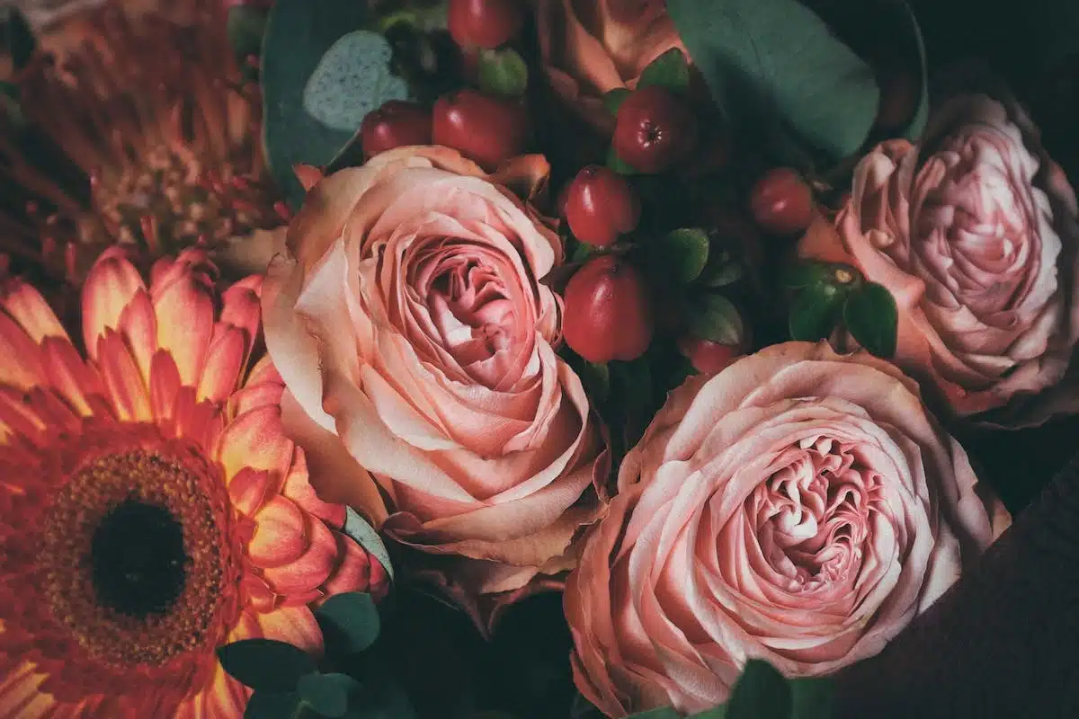 roses parfumées