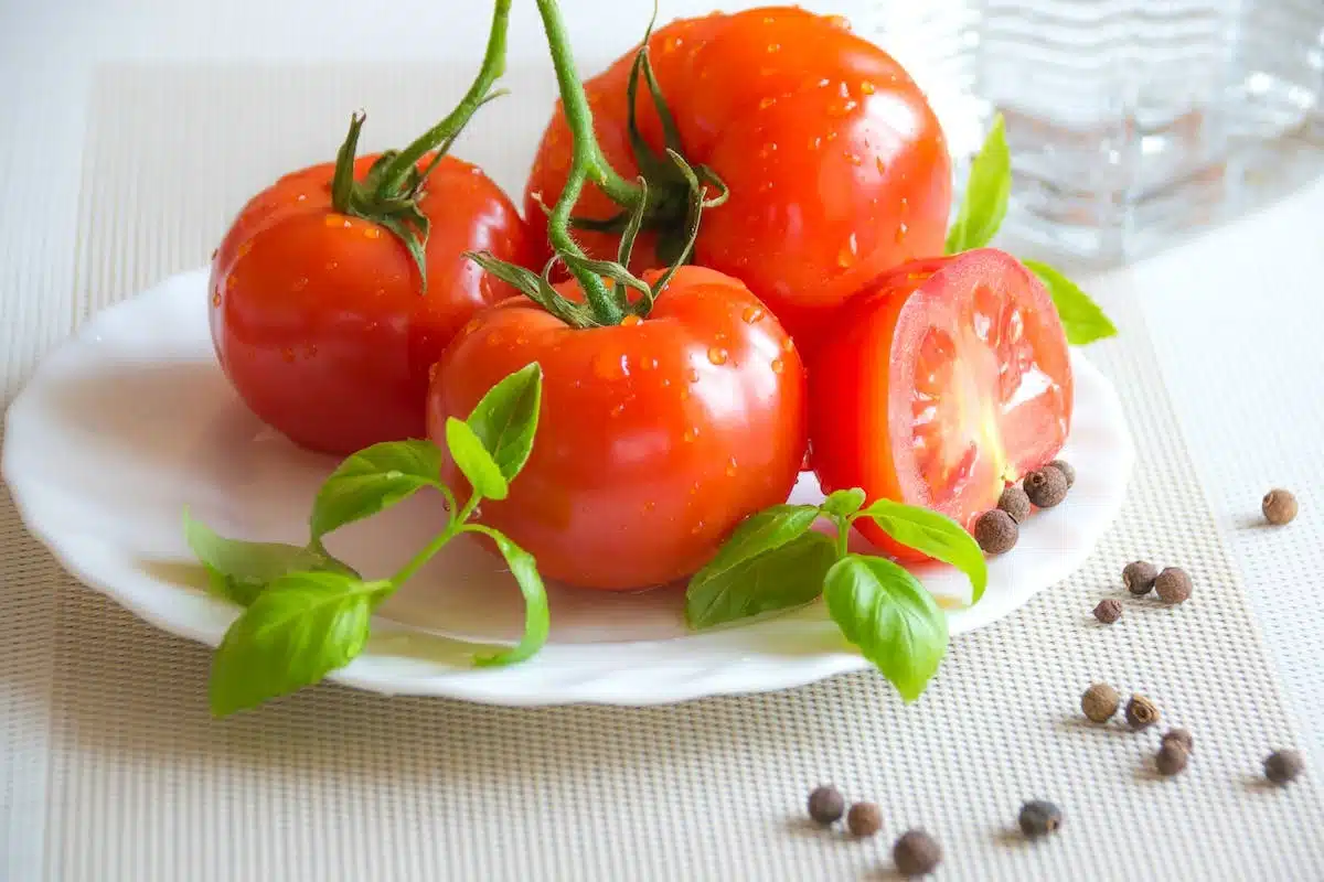 tomates  pot