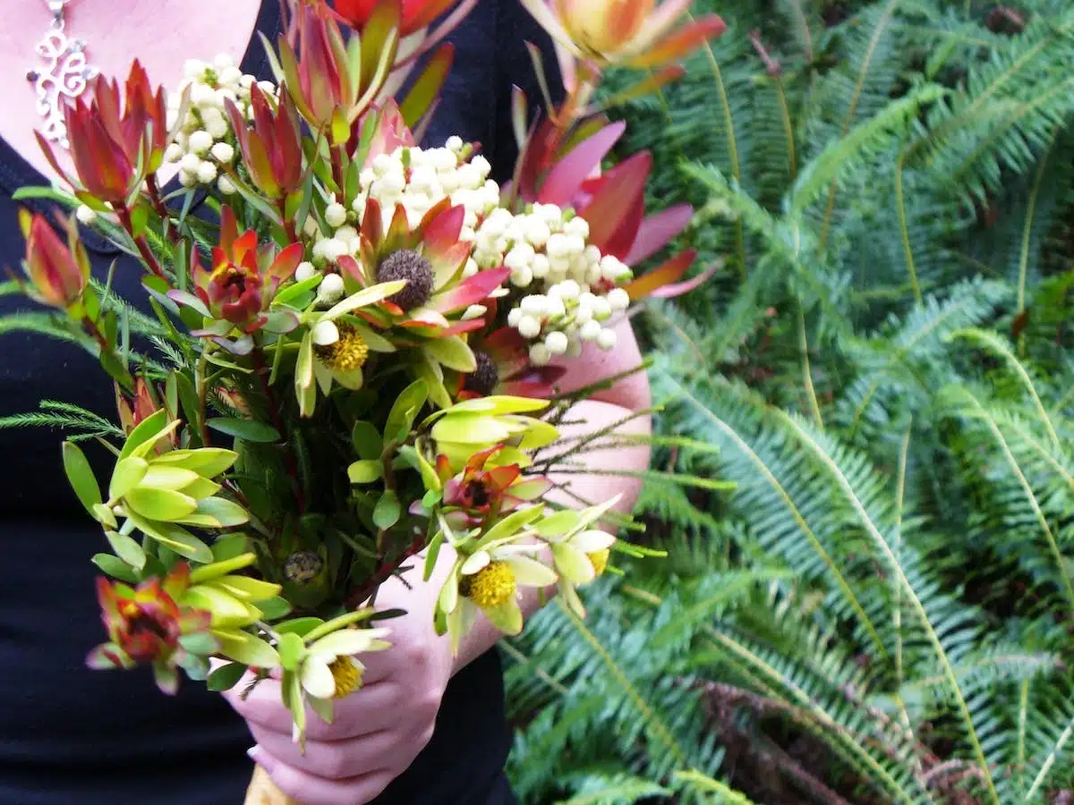 fleurs indigènes