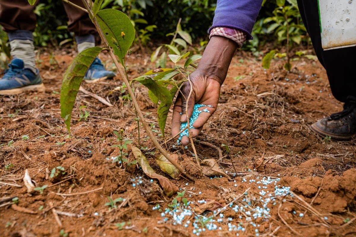 fertilisation écologique