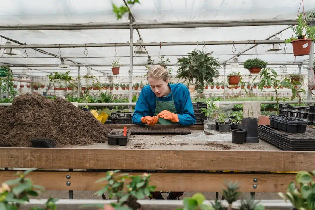 potager  écologie