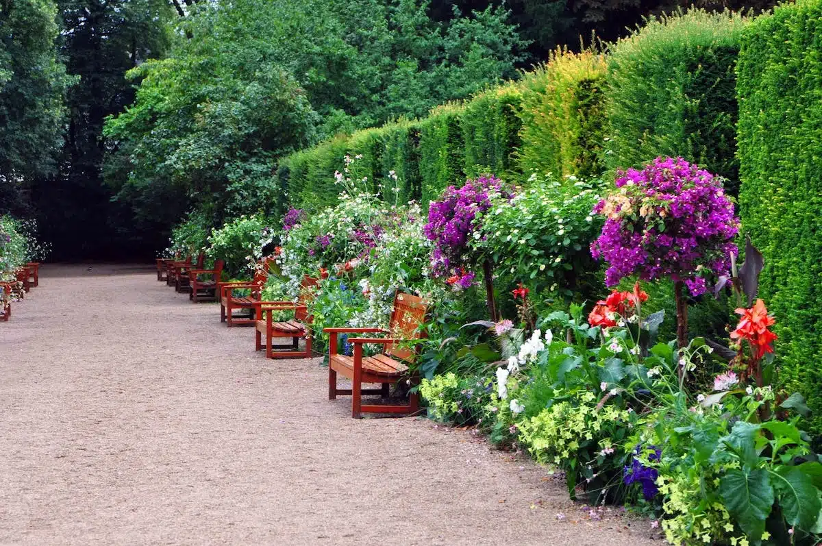 jardin  plantes