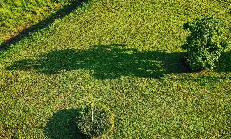 green grass field during daytime