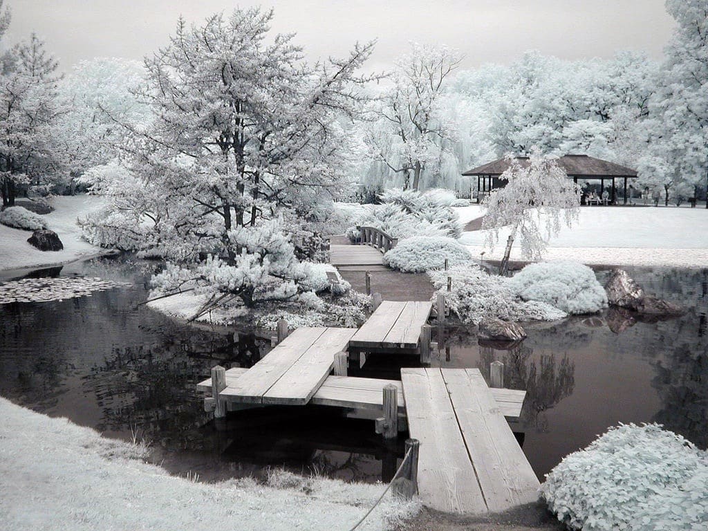 Jardin aménagé dans le style asiatique en hiver