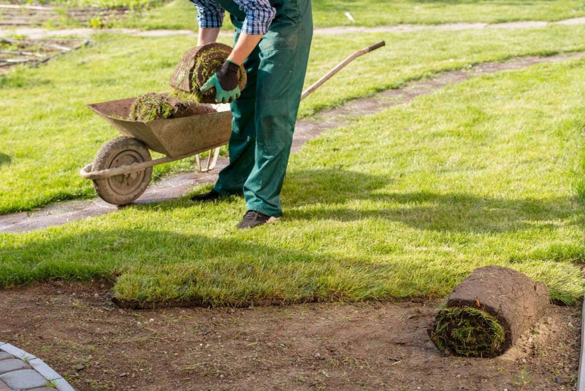 Comment devenir jardinier professionnel