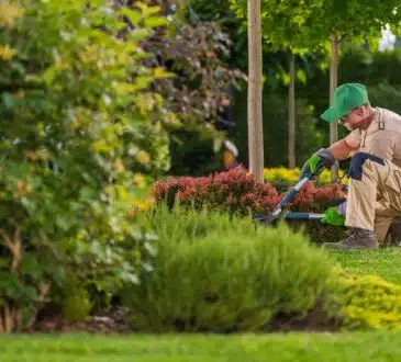 Comment devenir jardinier professionnel