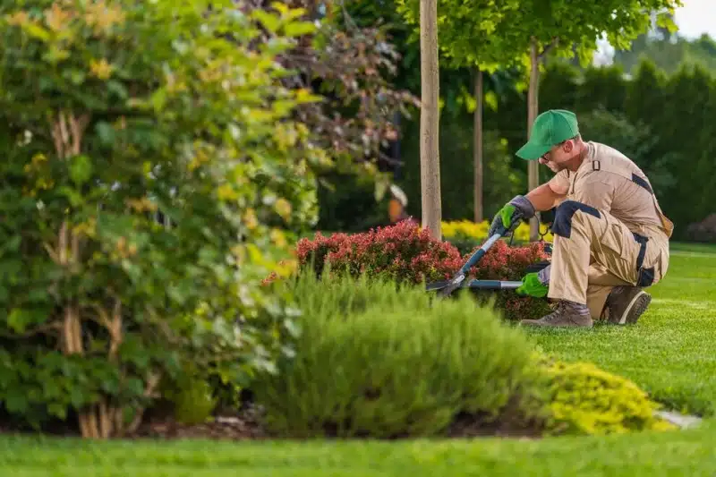 Comment devenir jardinier professionnel