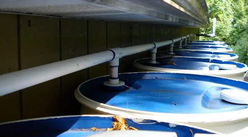 Comment mettre en place un système de récupération d'eau de pluie chez soi