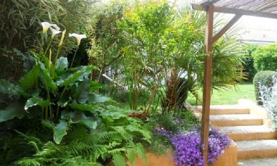 Conseils pour l’aménagement de jardin