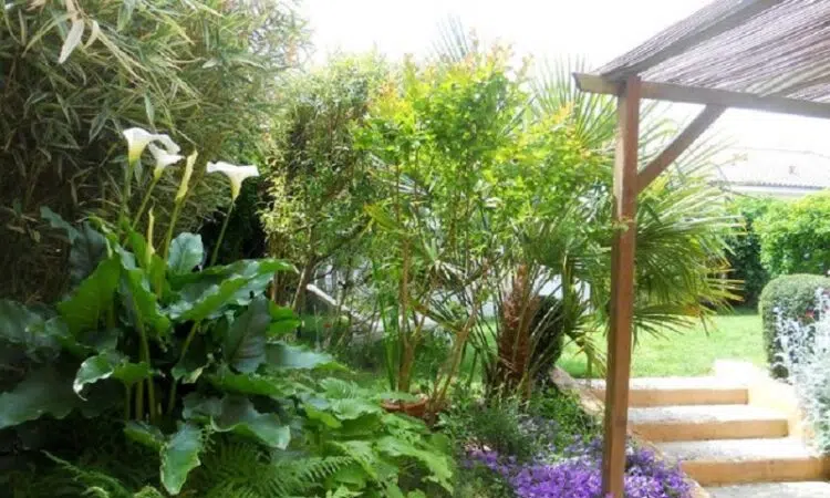 Conseils pour l’aménagement de jardin