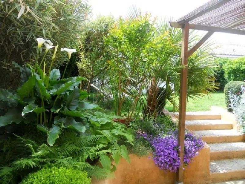 Conseils pour l’aménagement de jardin