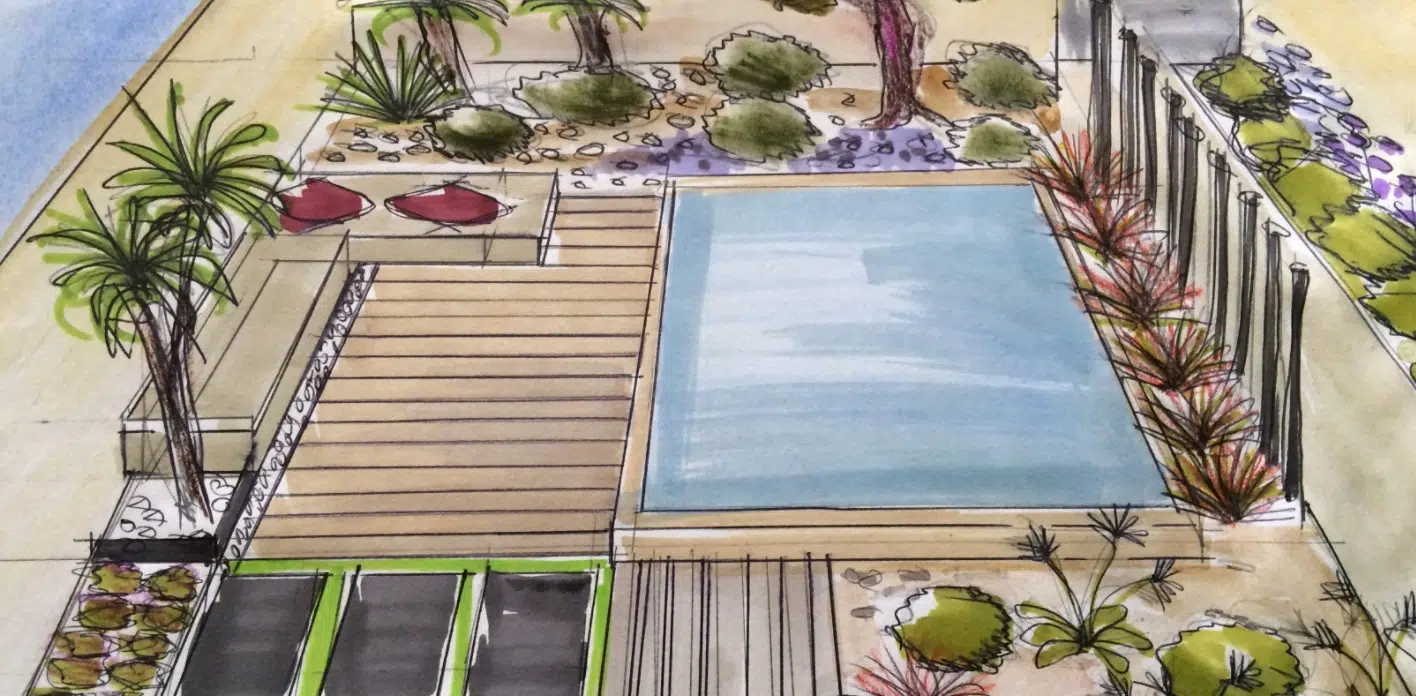 Dessin d'un jardin