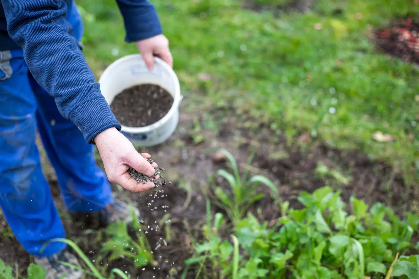 Denrées alimentaires