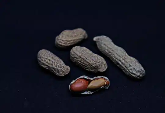 brown and black stones on black surface