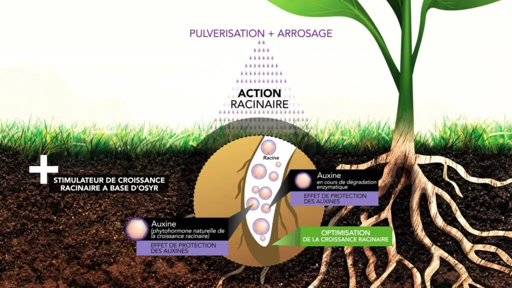 biostimulant