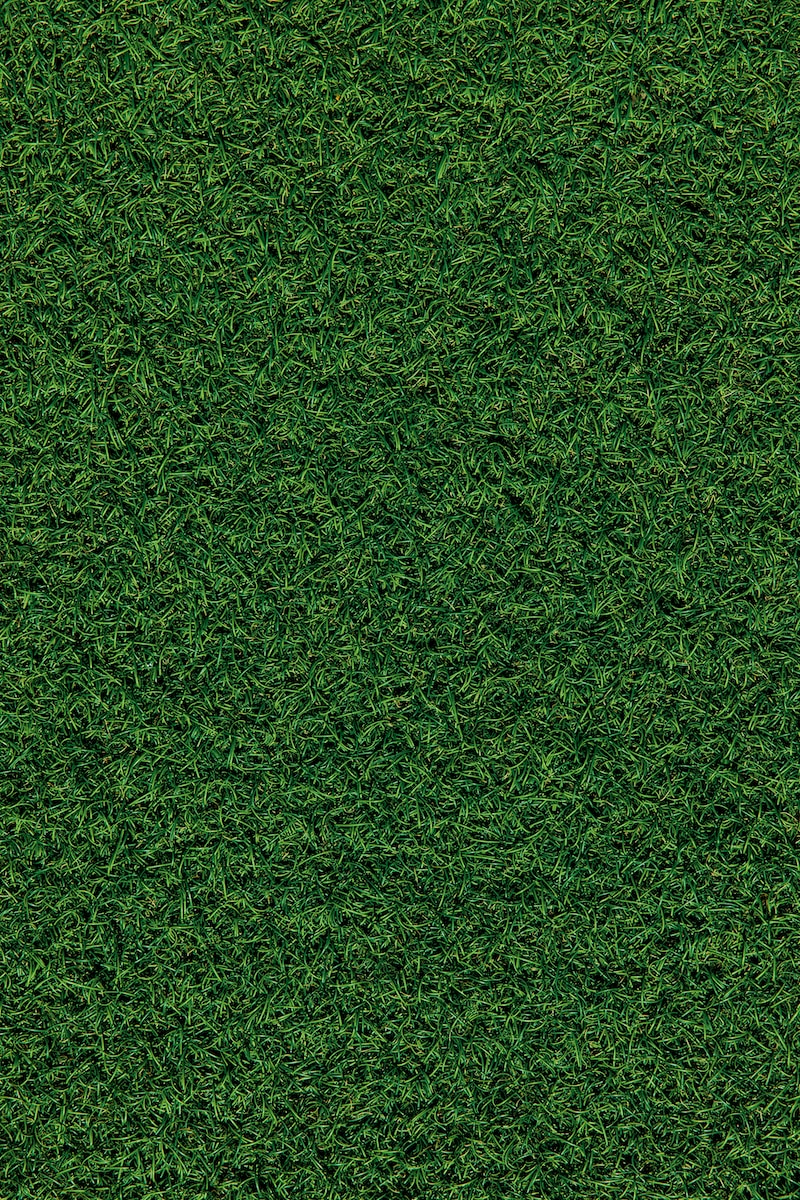 green grass field during daytime