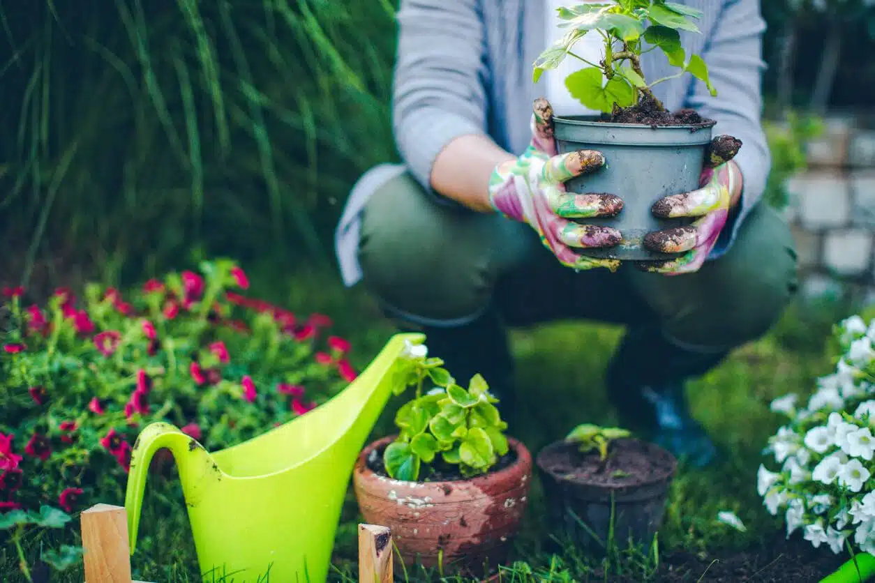 débuter le jardinage