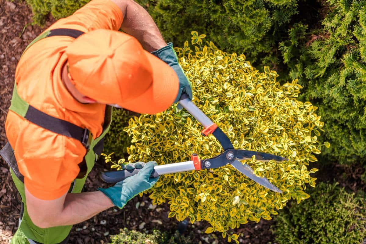 Les différents métiers autour du jardin - Jardiner Facile
