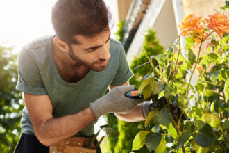 Entretien de jardin : gagnez du temps avec un jardinier professionnel à domicile !