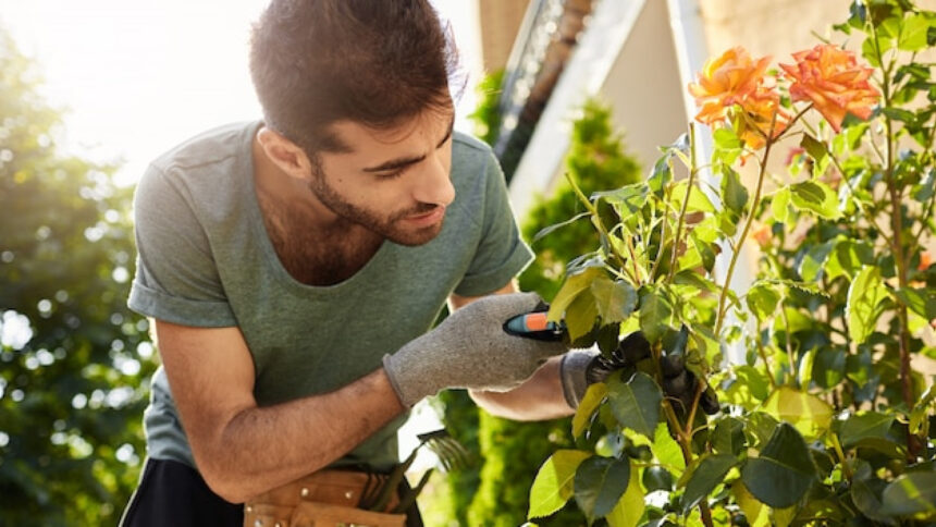 Entretien de jardin : gagnez du temps avec un jardinier professionnel à domicile !