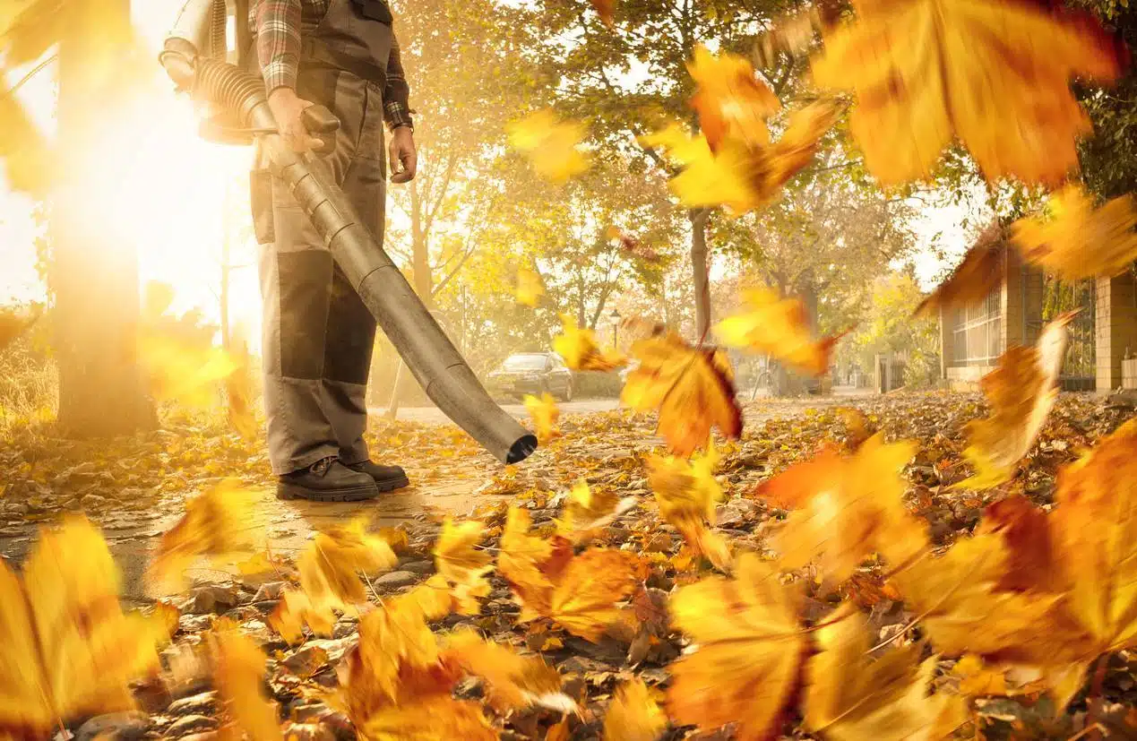 souffleur thermique jardin feuilles équipement