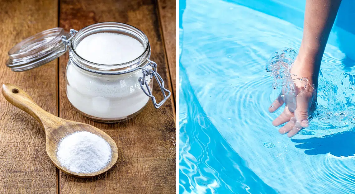 algues vertes de votre piscine